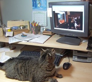 infinitecat